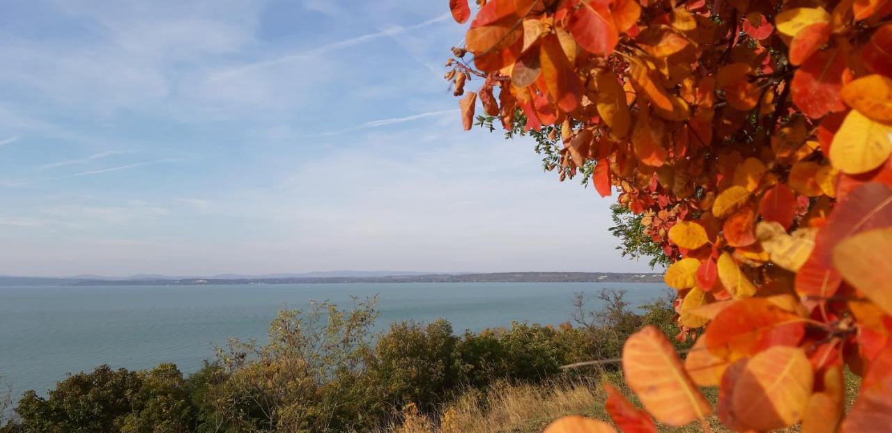 Riviera Wellness Apartman Siófok Zewnętrze zdjęcie